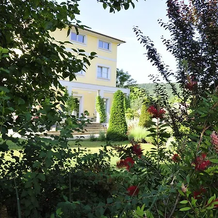 Hotel Ai Lecci In Centro